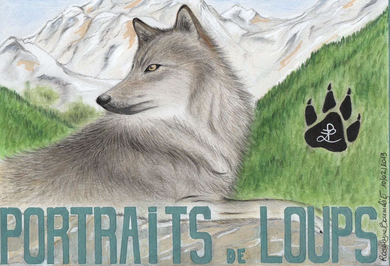 Portraits de loups